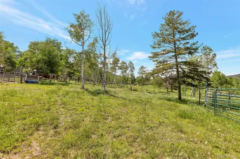 Exterior - 12349 Quartz Spur, Conifer, CO 80433 photo 15 of 15