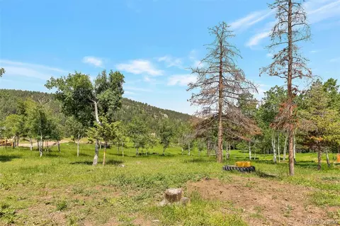 Exterior - 12349 Quartz Spur, Conifer, CO 80433 photo 14 of 15
