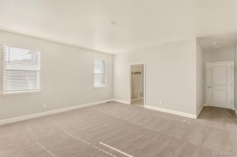 582 Fall River Ct, Brighton, CO 80601 photo 17