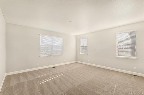 582 Fall River Ct, Brighton, CO 80601 photo 16