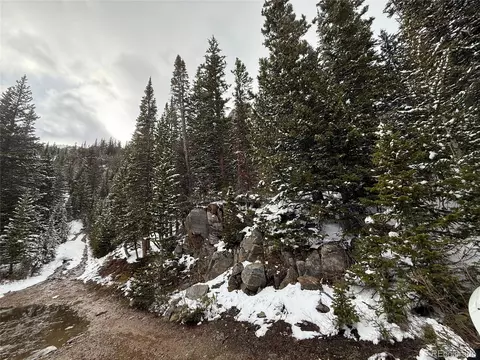 14 Mine Rd, Idaho Springs, CO 80452
