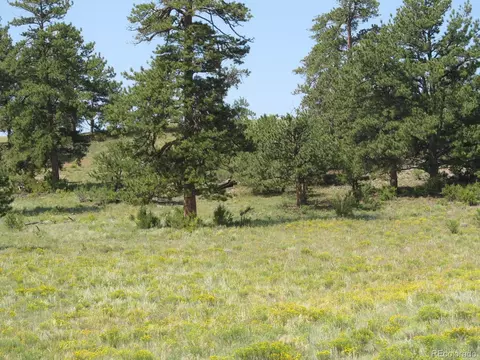 Arikara Trail, Hartsel, CO 80449