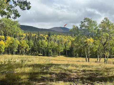 lot2843 Wendt Ln, Fort Garland, CO 81133