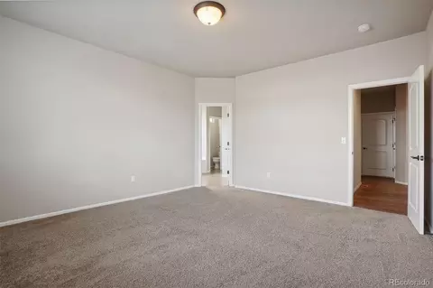 2074 Reliance Dr, Windsor, CO 80550 photo 24