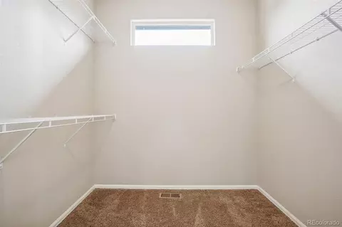 2074 Reliance Dr, Windsor, CO 80550 photo 31
