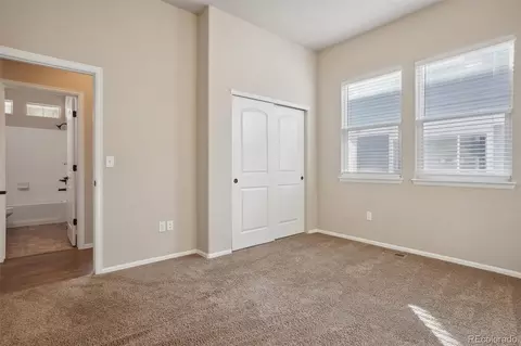 2074 Reliance Dr, Windsor, CO 80550 photo 18