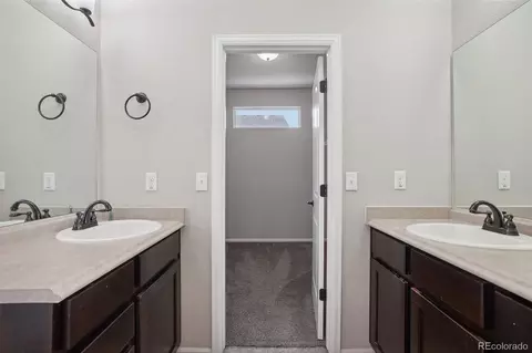 2074 Reliance Dr, Windsor, CO 80550 photo 28