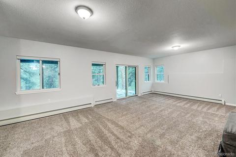 33504 Freda Rd, Pine, CO 80470 photo 32