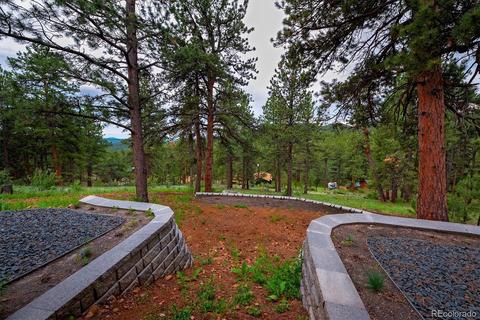 33504 Freda Rd, Pine, CO 80470 photo 36