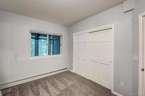 33504 Freda Rd, Pine, CO 80470 photo 33