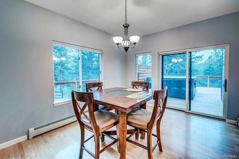 33504 Freda Rd, Pine, CO 80470 photo 17