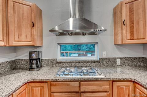33504 Freda Rd, Pine, CO 80470 photo 14