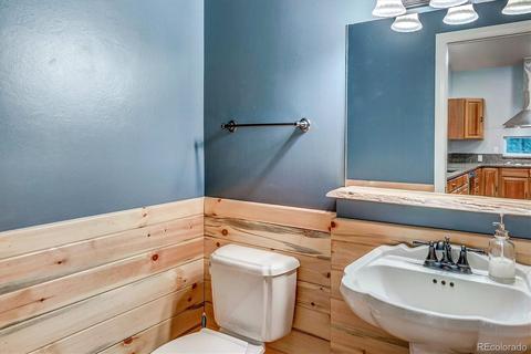 33504 Freda Rd, Pine, CO 80470 photo 16