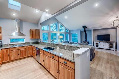 33504 Freda Rd, Pine, CO 80470 photo 10