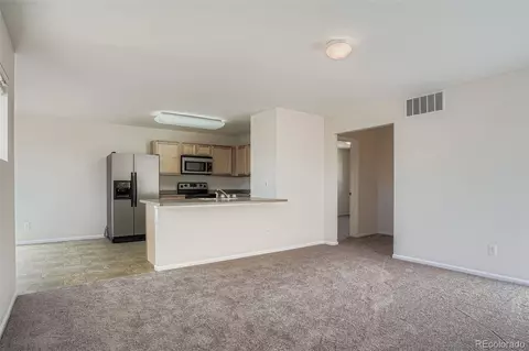 18649 E 46th Pl, Denver, CO 80249 photo 9