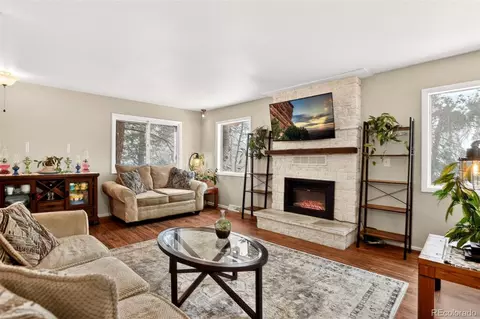 Living - 25807 Snyder Ave, Conifer, CO 80433 photo 4 of 4