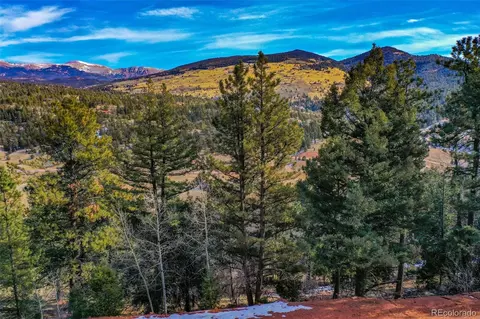 392 Andes Rd, Cripple Creek, CO 80813