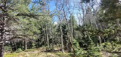 lot2560 Grojean Dr, Fort Garland, CO 81133
