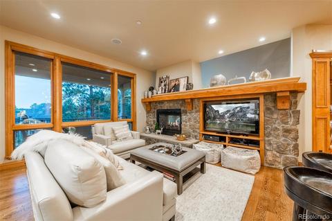 657 Ruby Trust Dr, Castle Rock, CO 80108 photo 9