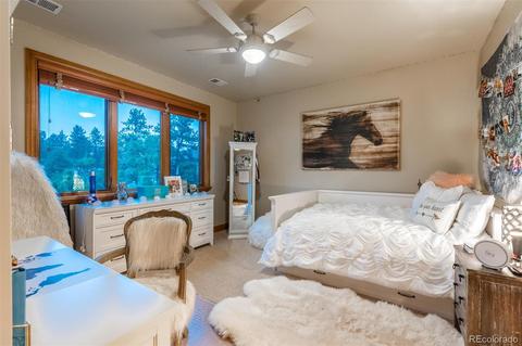 657 Ruby Trust Dr, Castle Rock, CO 80108 photo 19