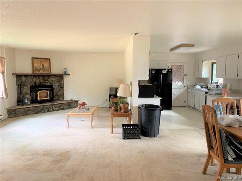 187 S Ridge Rd, Bailey, CO 80421 photo 9