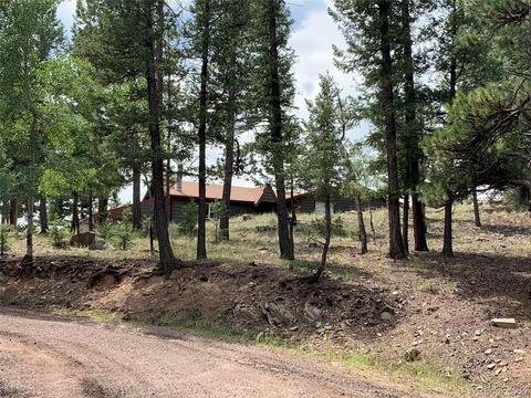 187 S Ridge Rd, Bailey, CO 80421 photo 26