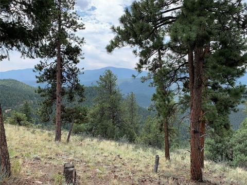 187 S Ridge Rd, Bailey, CO 80421 photo 5