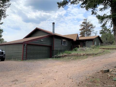 187 S Ridge Rd, Bailey, CO 80421 photo 4