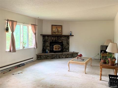 187 S Ridge Rd, Bailey, CO 80421 photo 10