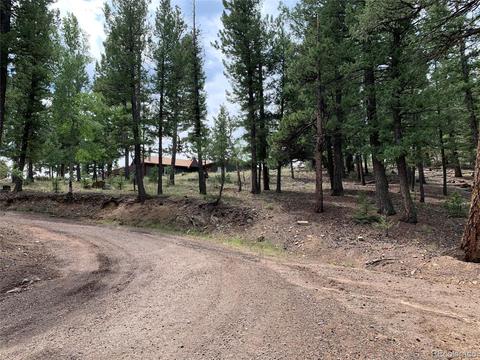 187 S Ridge Rd, Bailey, CO 80421 photo 25