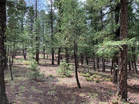 187 S Ridge Rd, Bailey, CO 80421 photo 28