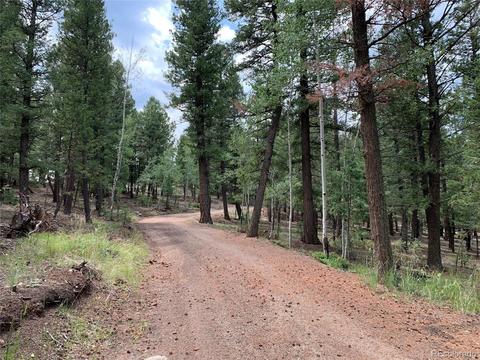 187 S Ridge Rd, Bailey, CO 80421 photo 27