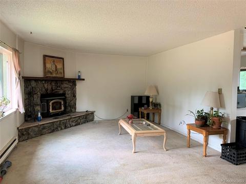187 S Ridge Rd, Bailey, CO 80421 photo 6