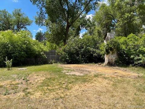 1232 Hover St, Longmont, CO 80501 photo 5