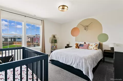 8161 Berwyn Loop, Peyton, CO 80831 photo 19
