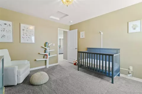 8161 Berwyn Loop, Peyton, CO 80831 photo 29