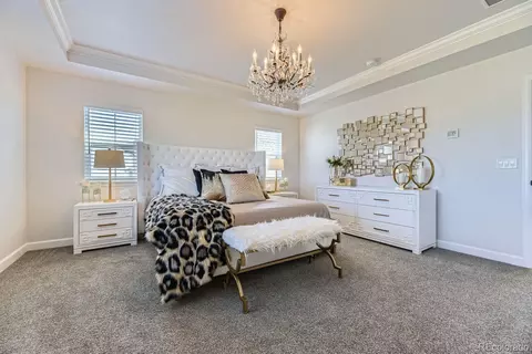Bedroom - 7253 S Valleyhead Ct, Aurora, CO 80016 photo 2 of 7