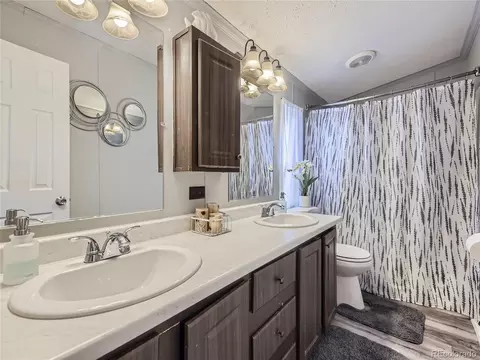 5227 E 97th Pl, Denver, CO 80229 photo 10