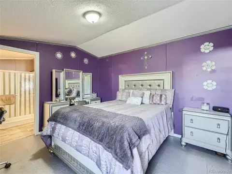 5227 E 97th Pl, Denver, CO 80229 photo 6