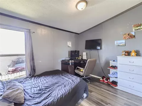 5227 E 97th Pl, Denver, CO 80229 photo 9