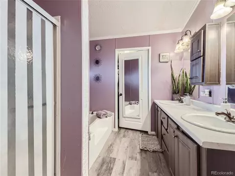5227 E 97th Pl, Denver, CO 80229 photo 7