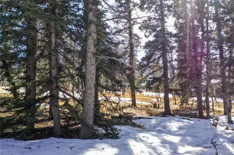 130 Minstrel Dr, Divide, CO 80814 photo 45
