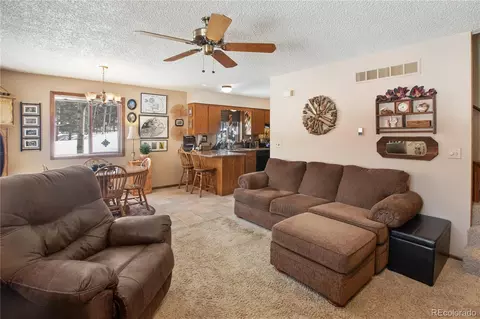 130 Minstrel Dr, Divide, CO 80814 photo 15