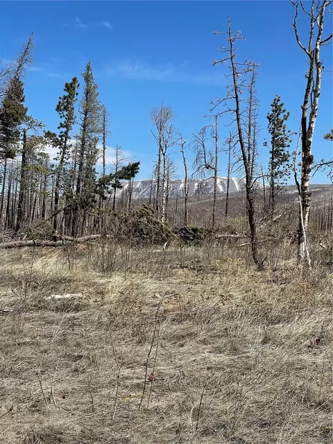 13621 Forbes Park Rd, Fort Garland, CO 81133