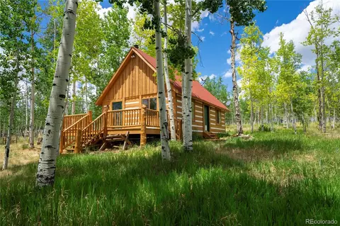 326 Canthook Ln, Fairplay, CO 80440