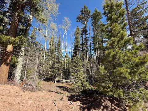 lot3408 Drexler Pl, Fort Garland, CO 81133