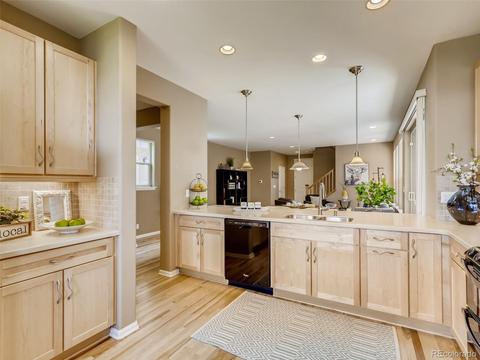 7922 E 49th Pl, Denver, CO 80238 photo 11
