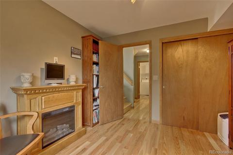 261 Wisp Creek Dr, Bailey, CO 80421 photo 20