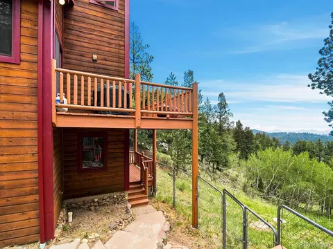 Exterior - 1407 Delwood Dr, Bailey, CO 80421 photo 8 of 9