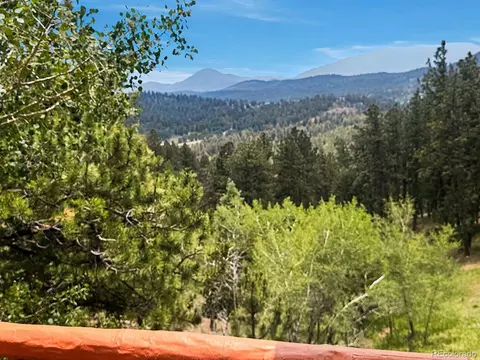 Exterior - 1407 Delwood Dr, Bailey, CO 80421 photo 3 of 9